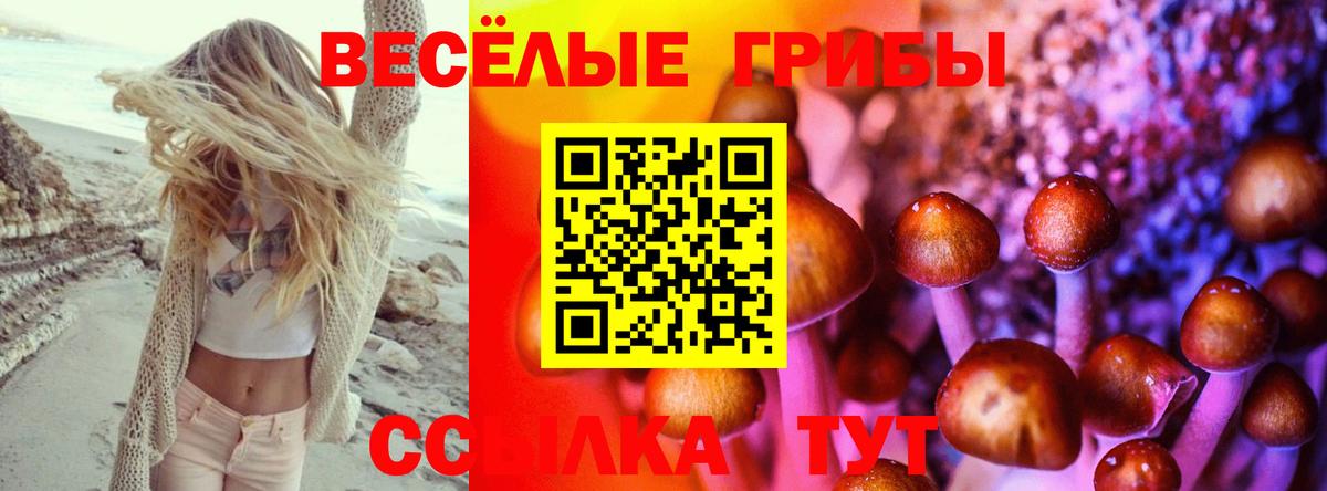 Псилоцибиновые грибы MAGIC MUSHROOMS Абакан